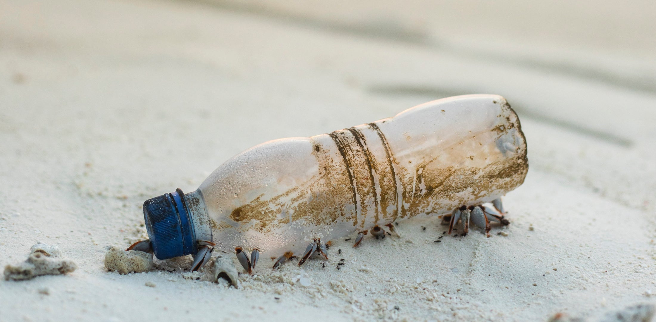 Ein Sneaker gegen Ozeanplastik